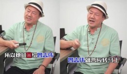 蓝洁瑛事件爆料视频,爆料视频揭露惊人内幕